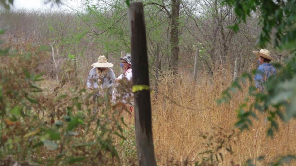 Localizan fosa con tres osamentas al sur de Culiacán