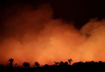 Incendios en la Amazonía, crisis internacional que analizará el G7