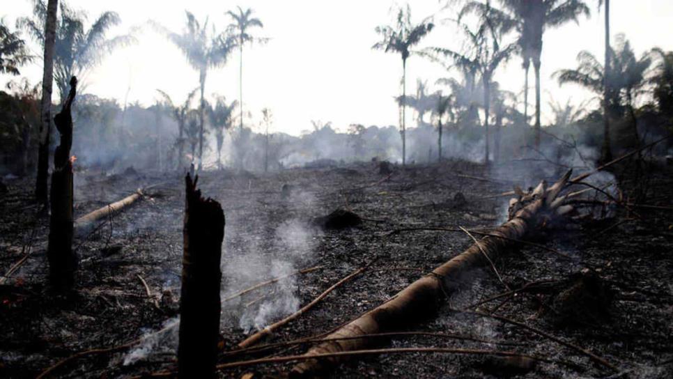 Gobiernos de Sudamérica se solidarizan ante incendios en la Amazonia