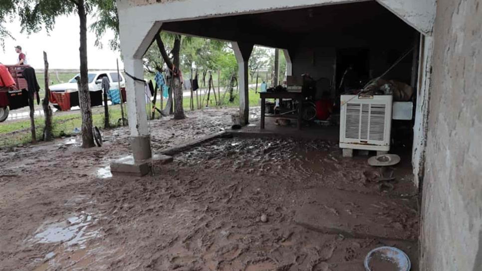Caen 130 mm de lluvia en San Rafael, Guasave