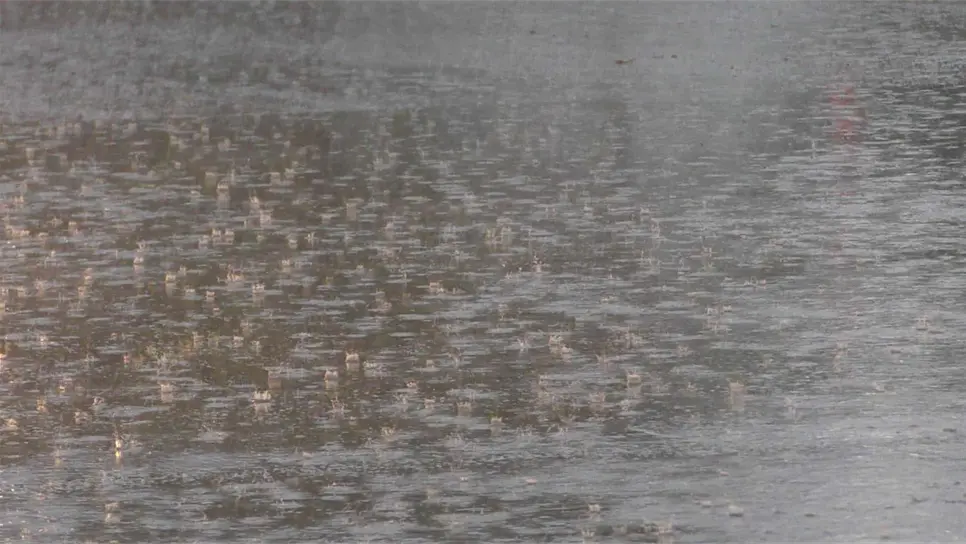 Sin afectaciones El Fuerte y Choix tras lluvias por Ivo