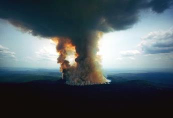 Miles de animales sufren los estragos de los incendios en la Amazonia