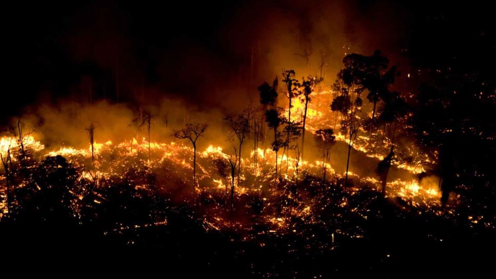 G7 acuerda ayuda urgente de 20 mdd para combatir fuego en Amazonia