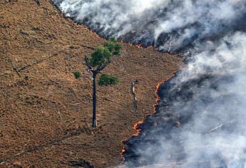 Canadá enviará avión cisterna para extinguir incendio en Amazonia