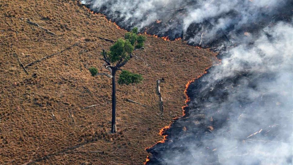 Canadá enviará avión cisterna para extinguir incendio en Amazonia