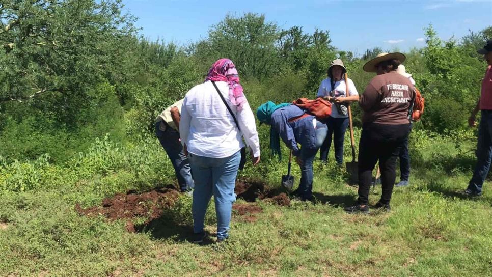 Rastreadoras de El Fuerte hallan restos humanos en cerro de Balácachi