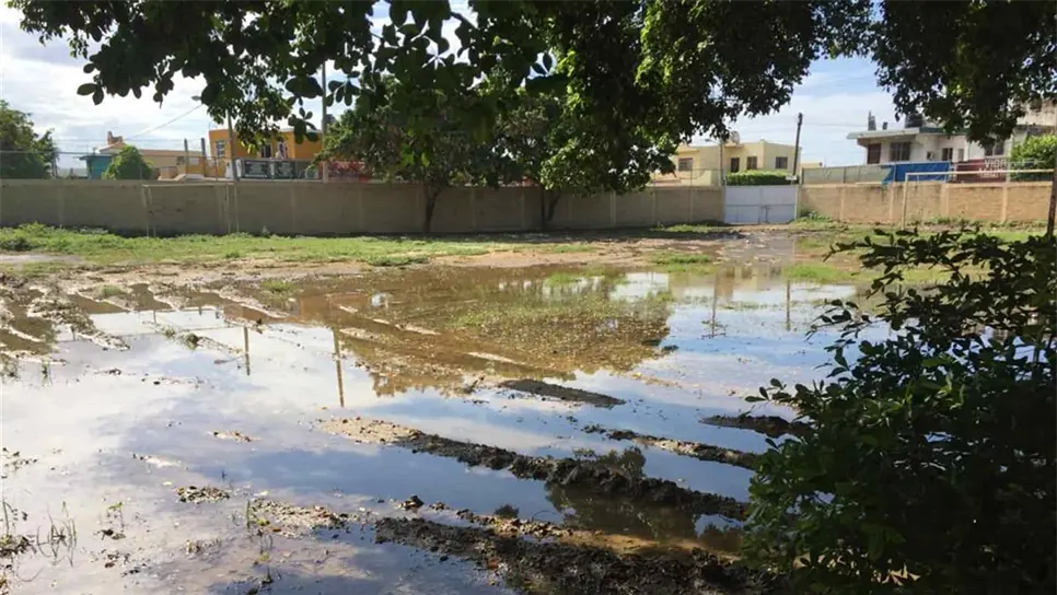 FOTO: Óscar Rodríguez.