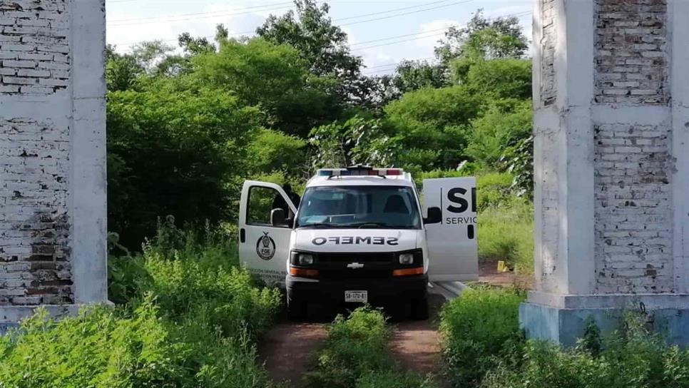 Encuentran ejecutado en hacienda abandonada al sur de Culiacán