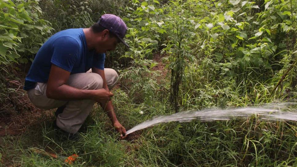 Detecta JAPAMA tomas clandestinas para uso agrícola y ganadero