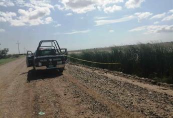 Identifican a dos hombres que habían encontrado ejecutados