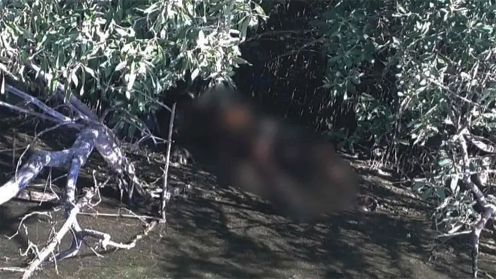 FOTO: Ernesto Torres.