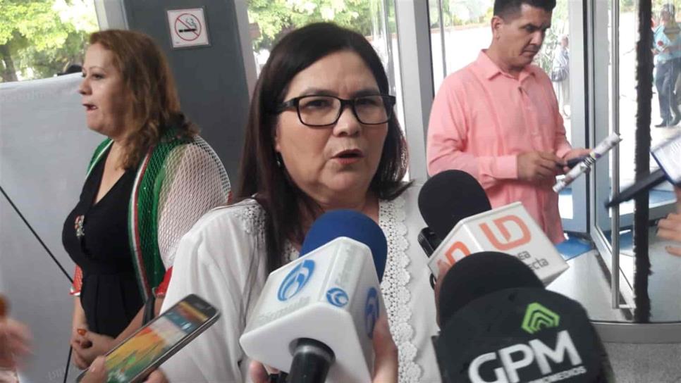 No habrá nuevos impuestos ni incrementos en el PEF 2020: Imelda Castro