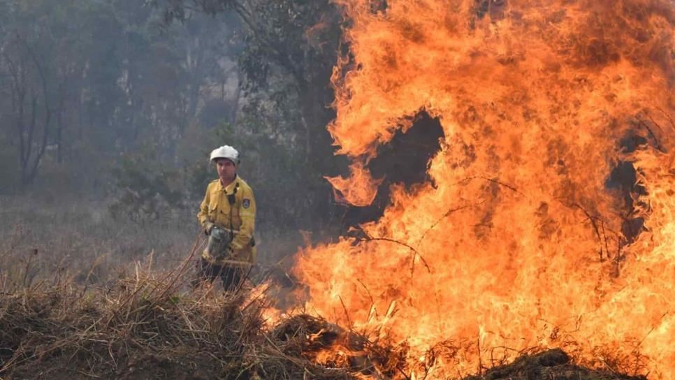 Australia enfrenta 130 incendios forestales