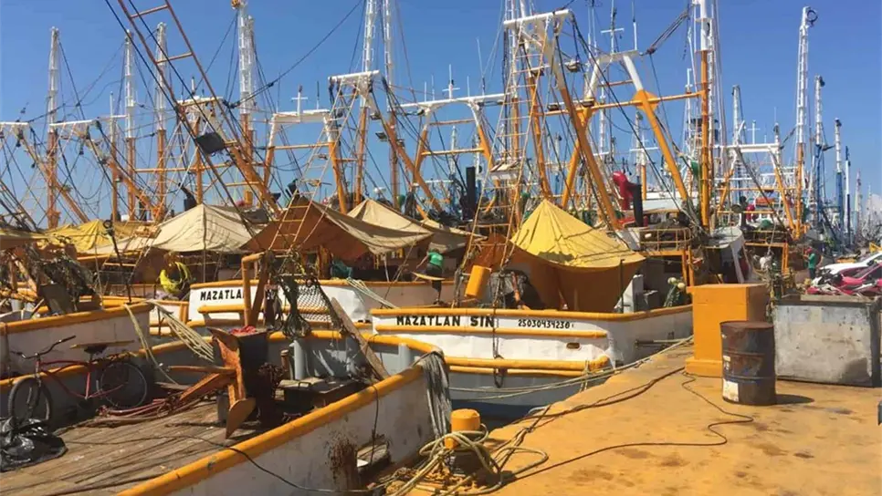 Precio del diésel pone en riesgo la salida de la flota camaronera