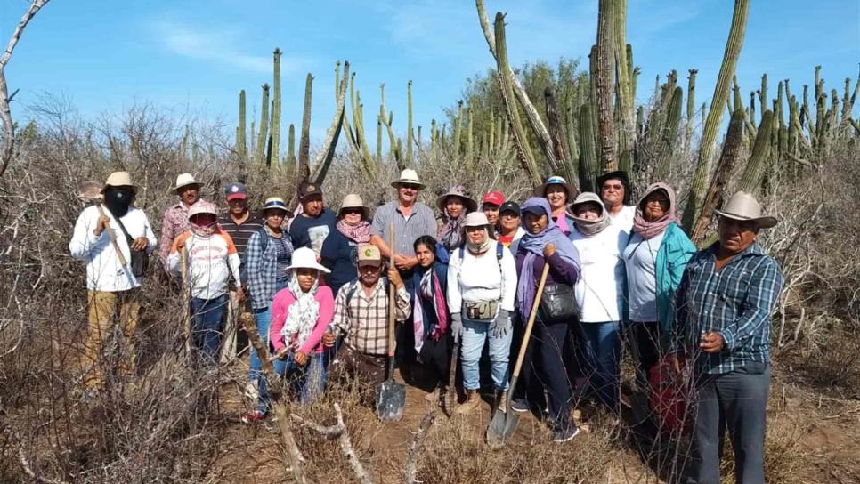 Alto Comisionado de la ONU en México, visitará Sinaloa por los desaparecidos