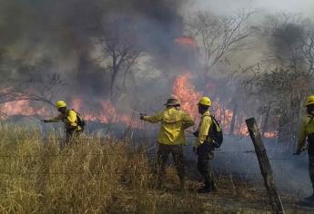 Incendios en Amazonas siguen sin control con riesgo de aniquilamiento