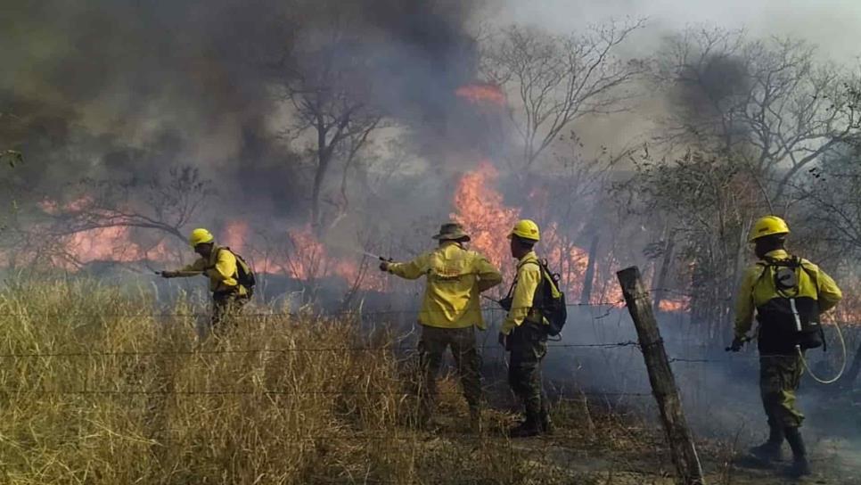 Incendios en Amazonas siguen sin control con riesgo de aniquilamiento