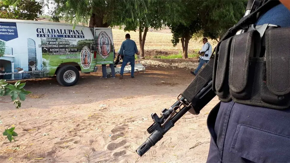 FOTO: Luz Noticias | Temática.