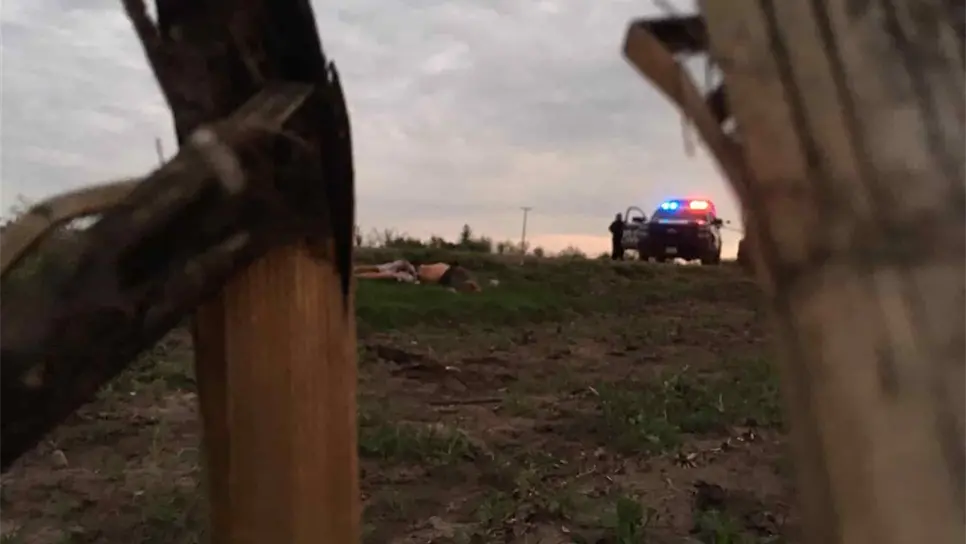 FOTO: Ernesto Torres.