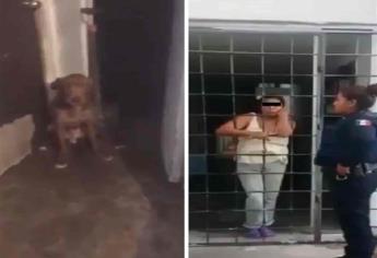 Liberan a la “mataperros” en Puebla