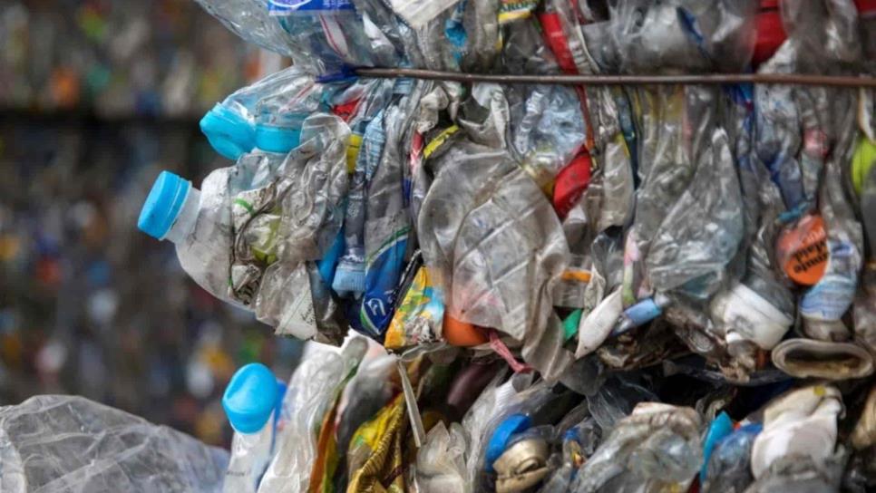 Busca UE reciclar 10 millones de toneladas de plástico