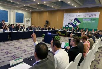 Lleva a cabo el CUMex su Segunda Sesión Ordinaria 2019