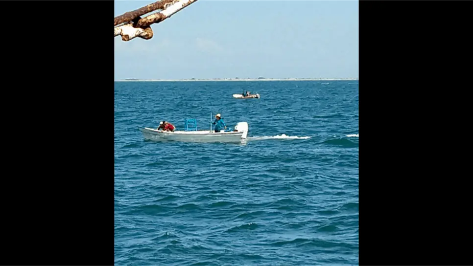 Denuncian que cientos de pangas saquean el camarón de altamar