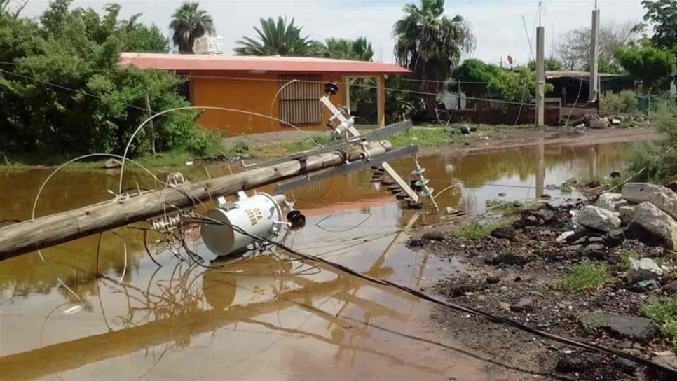Inicia CFE reparación de daños provocados por “Narda” en el sur de Sinaloa