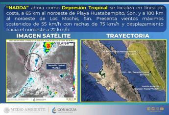 Se degrada Narda a depresión tropical en Sonora