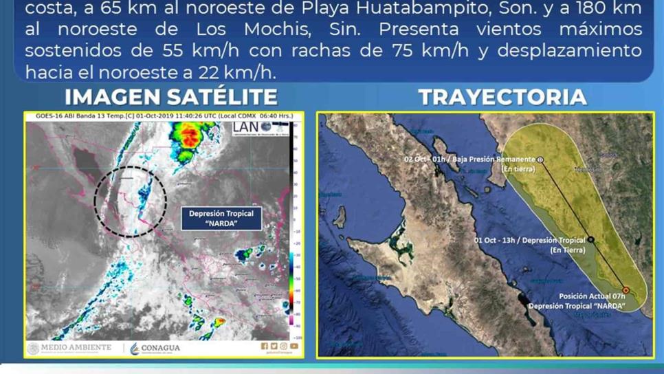 Se degrada Narda a depresión tropical en Sonora