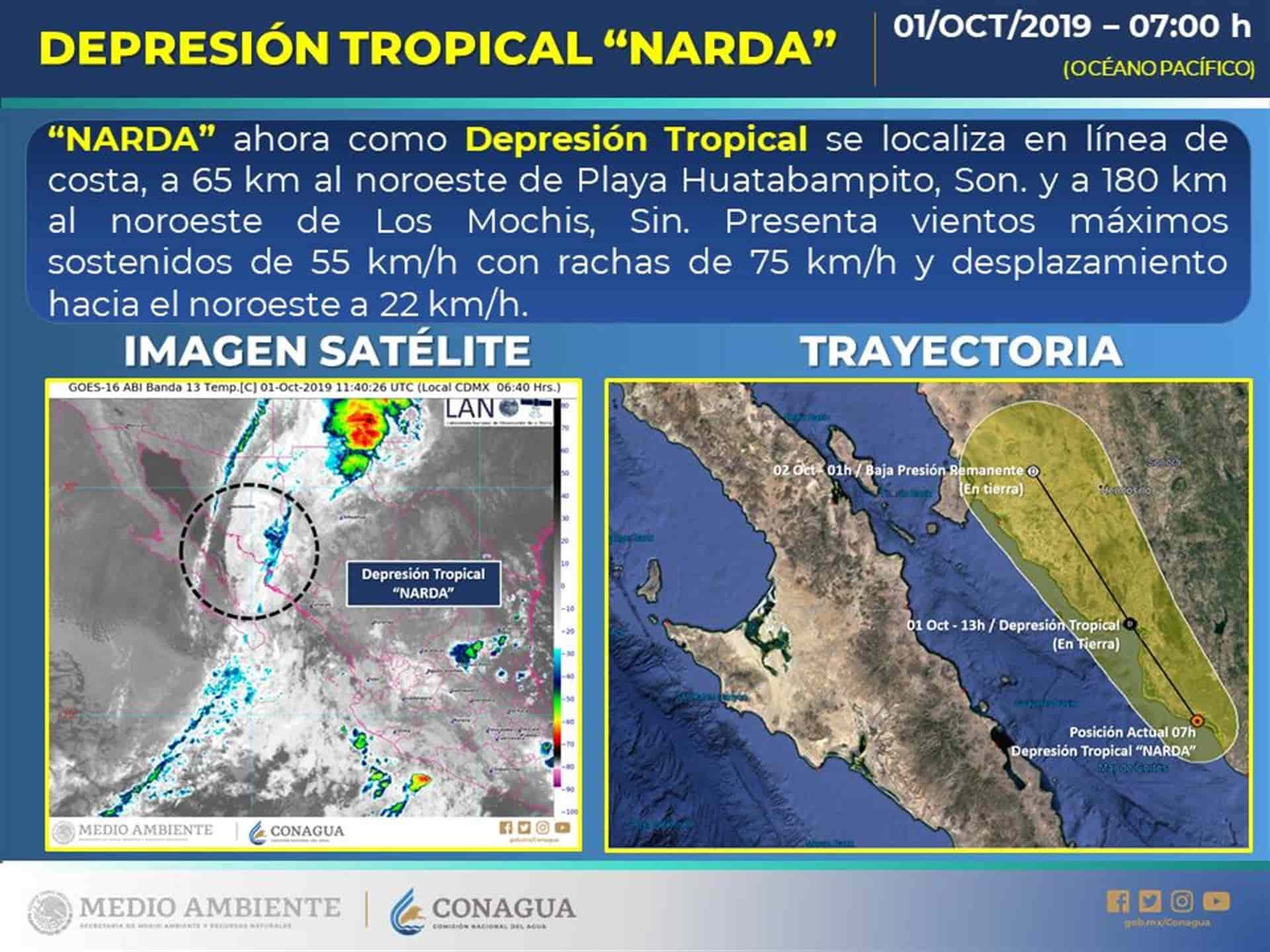 Se degrada Narda a depresión tropical en Sonora