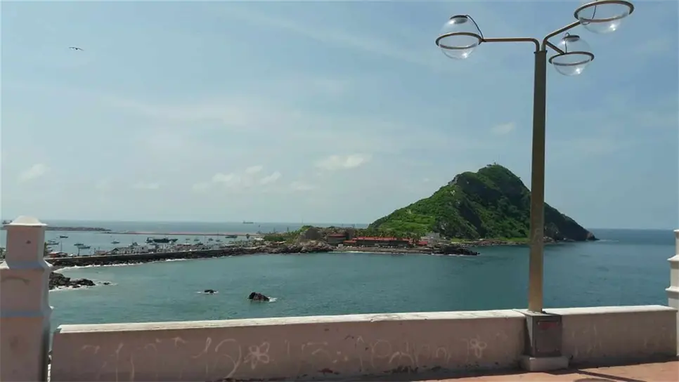 Proliferan gatos en la zona del Faro Mazatlán