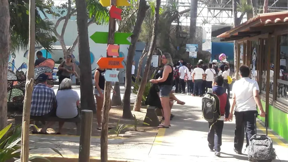 Refrescan con abanicos a aves en el Acuario Mazatlán