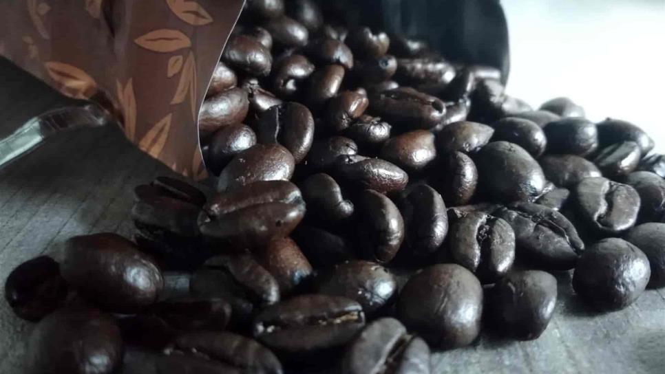 Precios del café, los más bajos de los últimos 15 años, alerta organismo