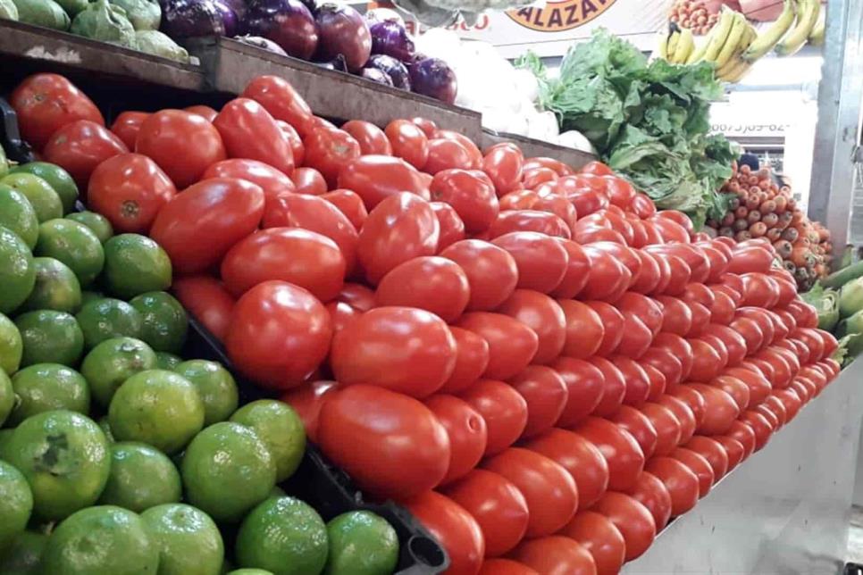 Conflicto por el tomate con Estados Unidos es político, no comercial: SAyG