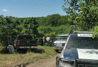 Fallece adulto mayor por picadura de abejas en Culiacán