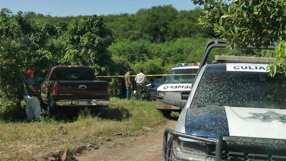 Fallece adulto mayor por picadura de abejas en Culiacán