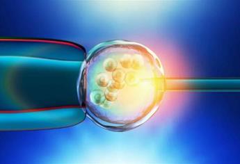 Congelación de óvulos, opción para mujeres con endometriosis