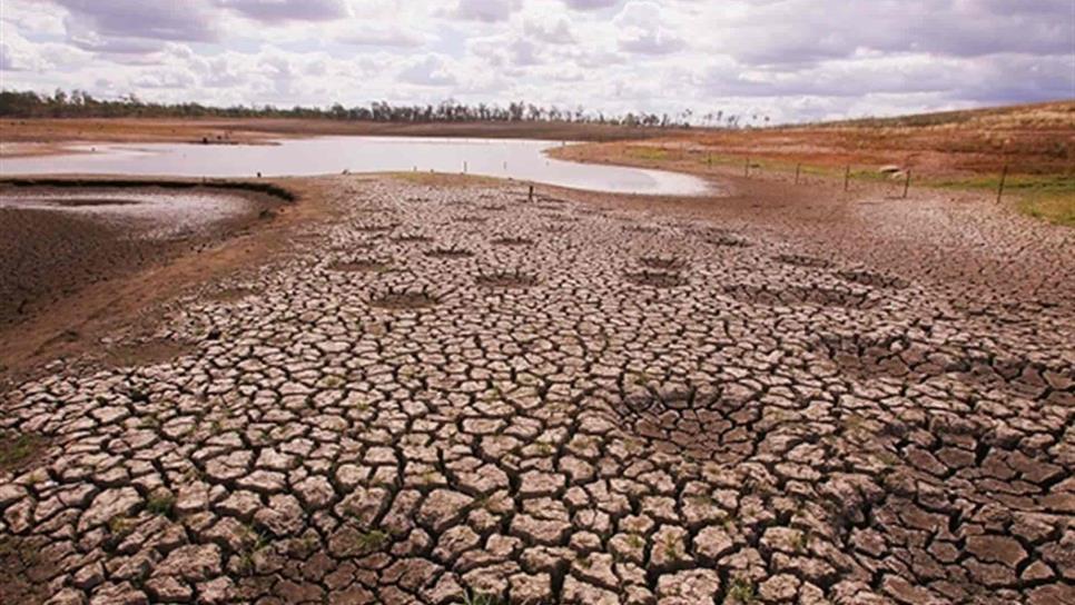 Piden se declare la emergencia climática en Australia