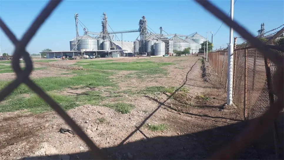 Multigranos logra acuerdo para firmar fideicomiso