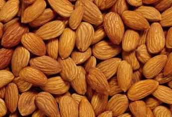 Nueces y almendras desaceleran aumento de peso en adultos