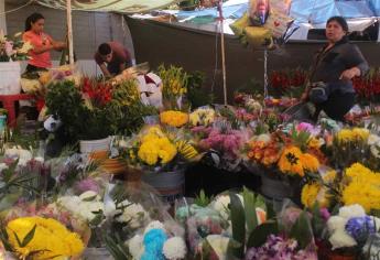 Con fe y esperanza, floristas locales este Día de Muertos