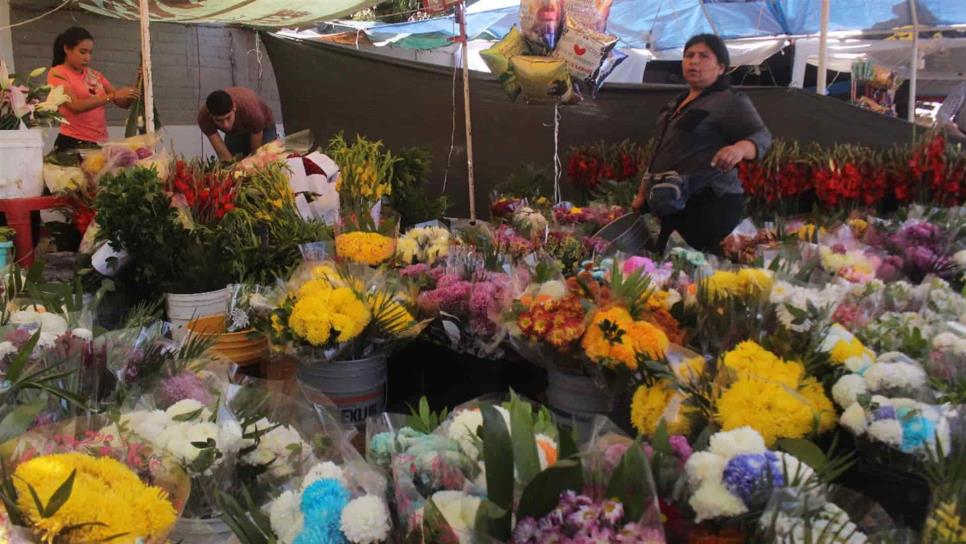 Con fe y esperanza, floristas locales este Día de Muertos