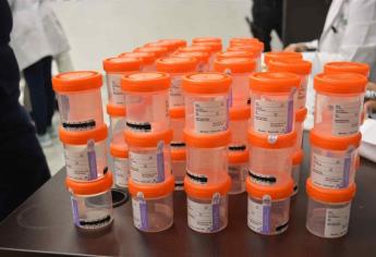 Sorprenden con antidoping a policías de Ahome