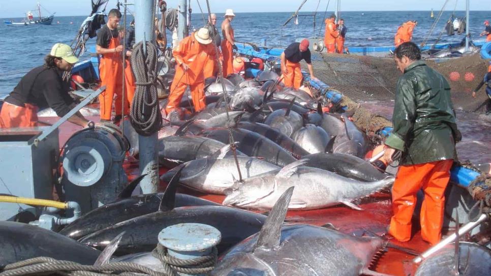 México, nación responsable en pesca de atún en el Pacífico: Conapesca