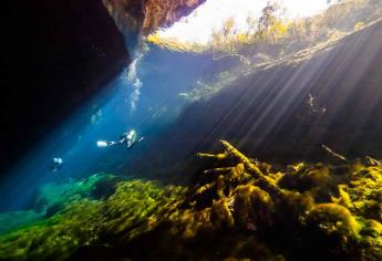Espeleobuceo, actividad que contribuye a la ciencia en México