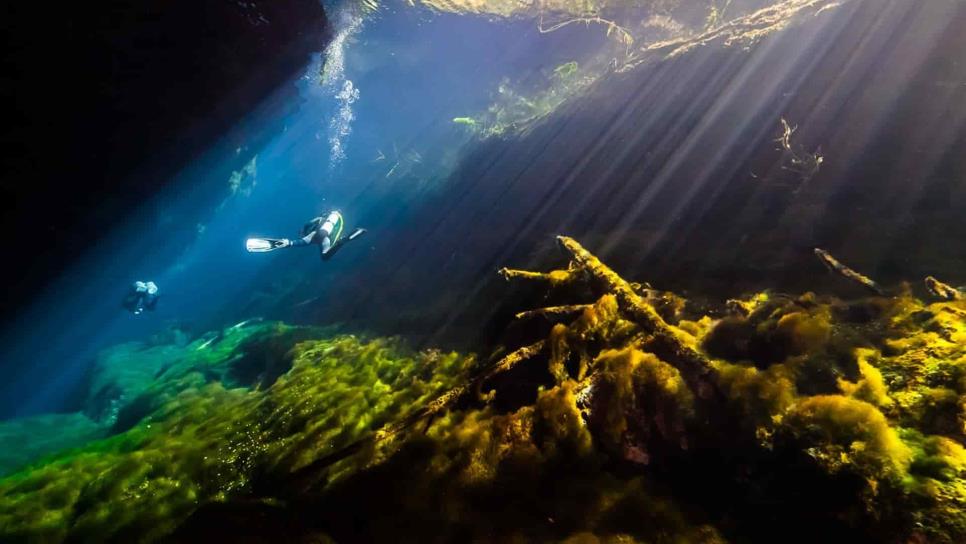 Espeleobuceo, actividad que contribuye a la ciencia en México Espeleobuceo, actividad que contribuye a la ciencia en México