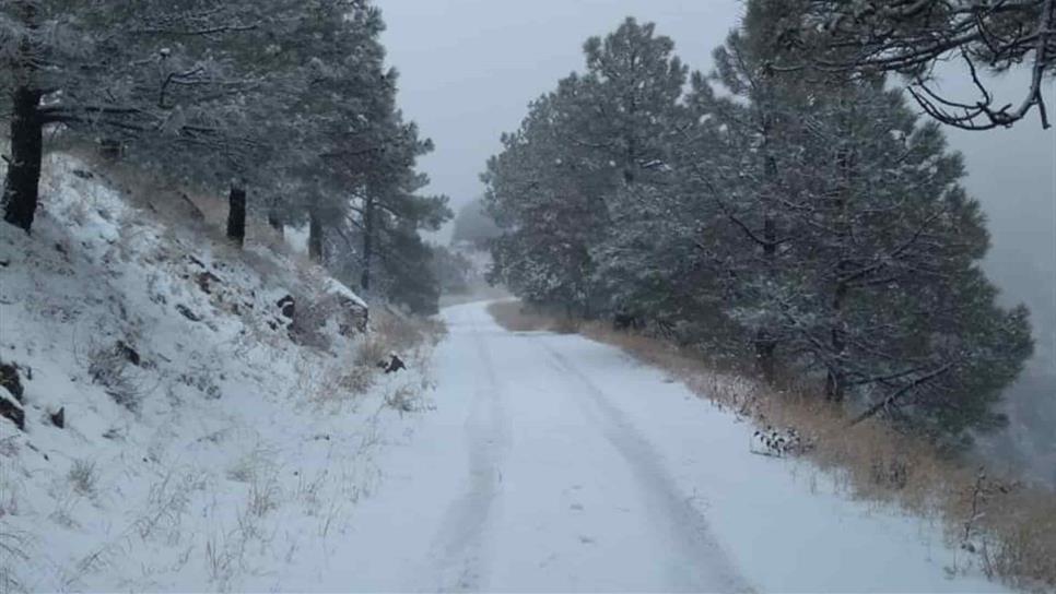 Cae nevada en Sierra de Cananea