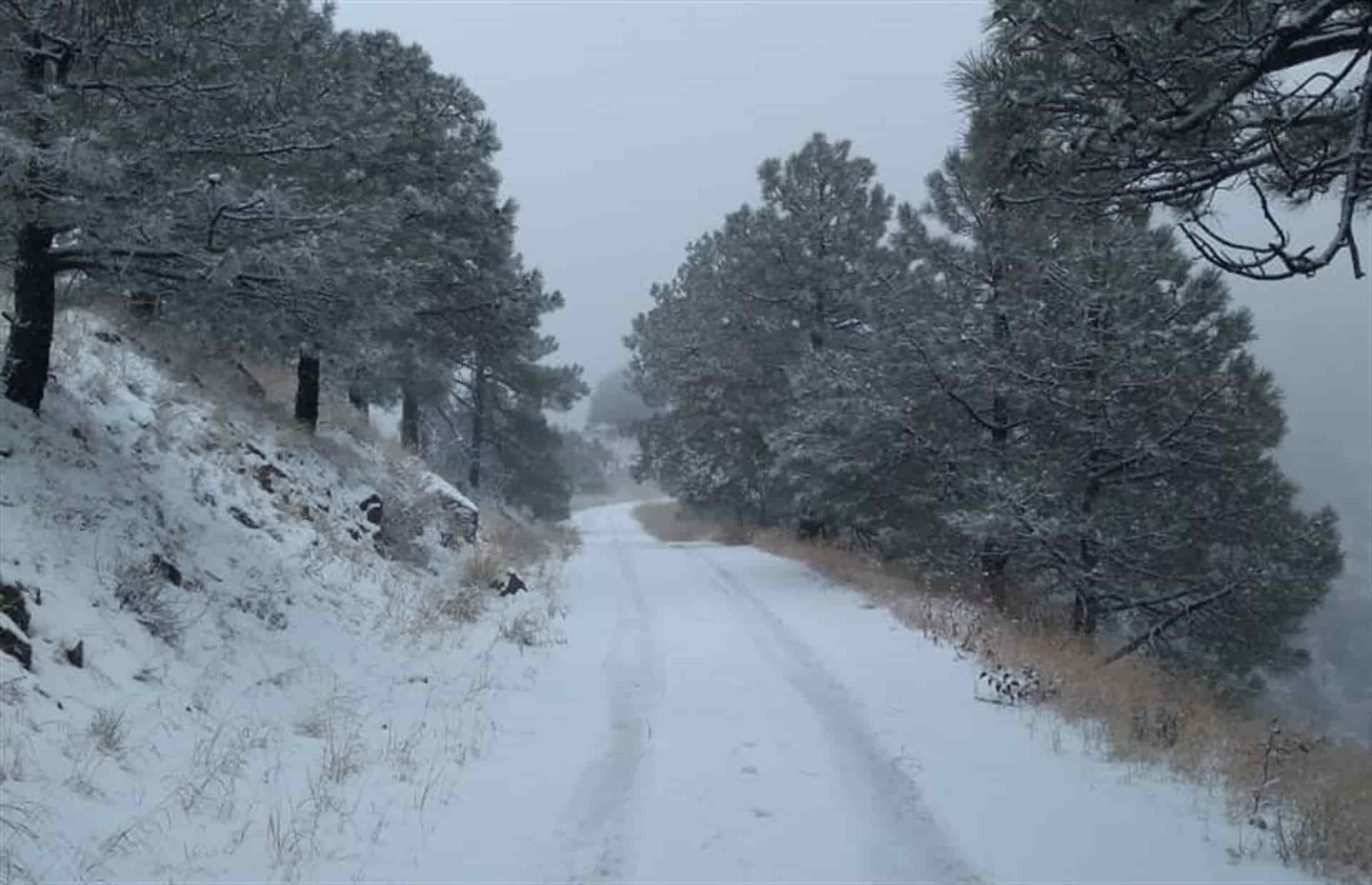 Cae nevada en Sierra de Cananea