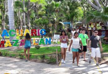 Acuario Mazatlán cerrará temprano este domingo